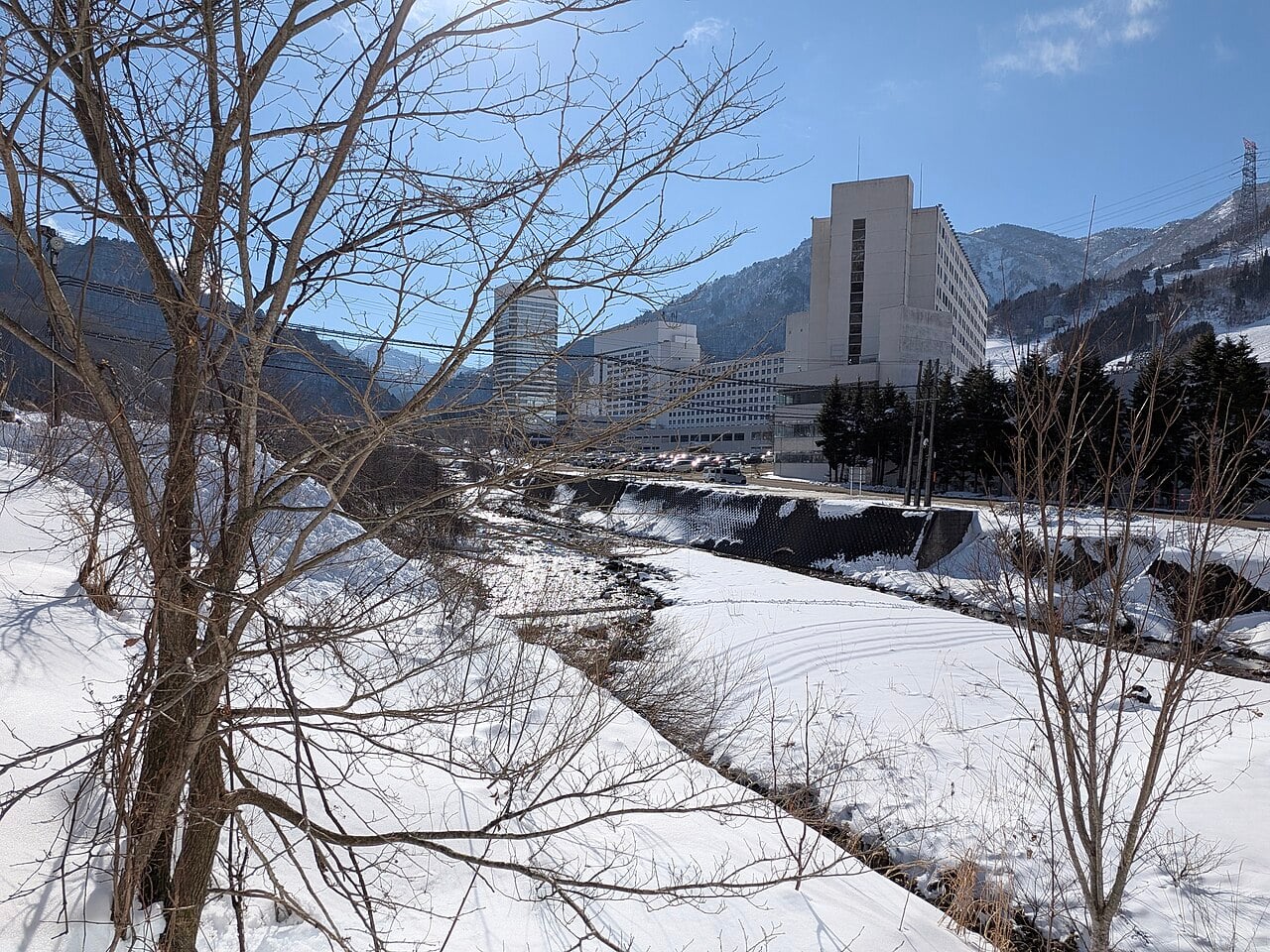 Forfait de Esqui en Japon (Niseko/Hakuba)