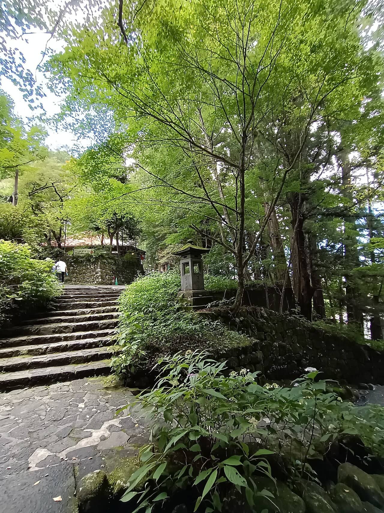 Nikko